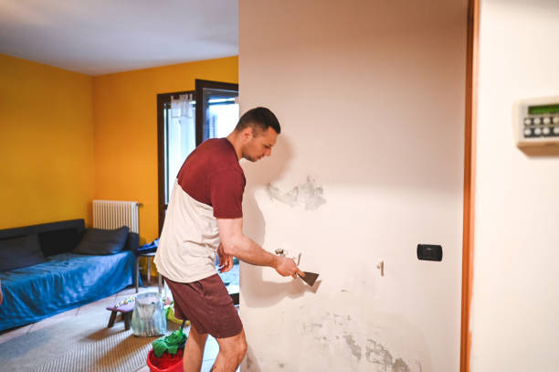 Best Mold Cleaning Services  in Lake Mathews, CA